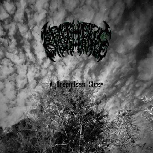 Apathetic Discharge : A Dreamless Sleep